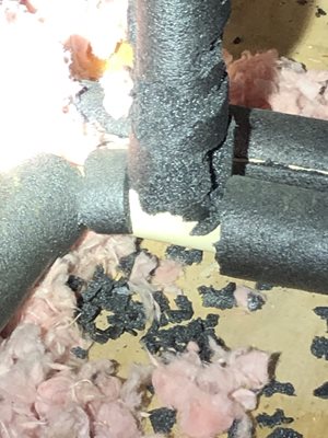 Rodent Damage in an Attic